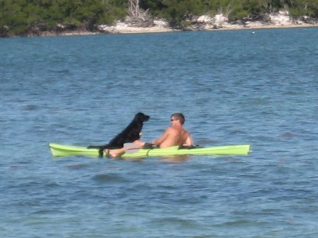 Watch the world go by...