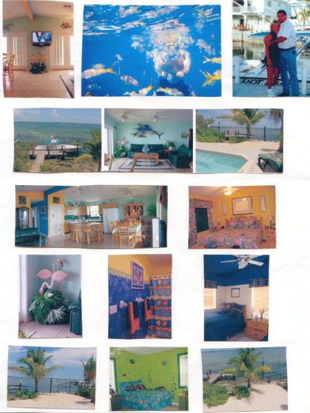 There is so much to show, I'll make a collage.