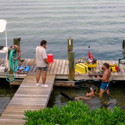 Snorkel or practice scuba diving at the dock