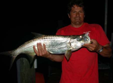 One of many tarpon at the dock at night.